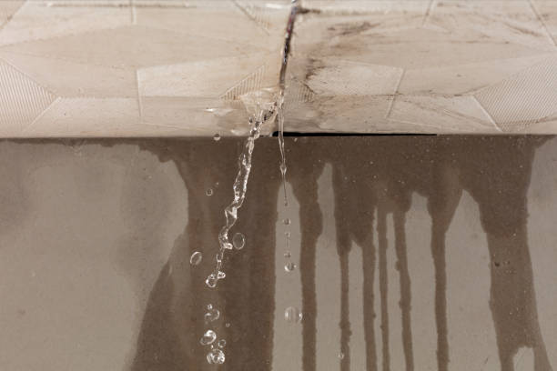 Professional Water Extraction technician working in Fairfield, IL